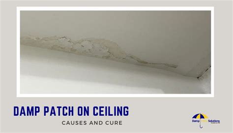 Damp patch on ceiling – causes and cure for ceiling patch